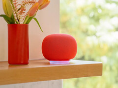 Колонка Google Home в цвете &quot;Берри&quot;. (Источник изображения: Google)