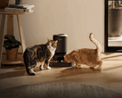 Умная кормушка для домашних животных Petlibro. Некоторые устройства не могут выдавать корм из-за сбоя в подаче электроэнергии.