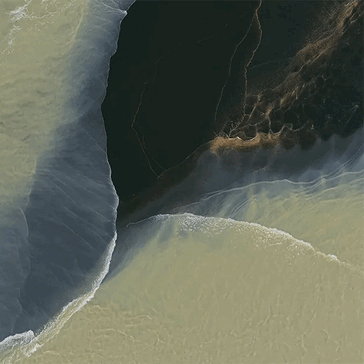 Ранняя утечка обоев Pixel 11 Pro Fold, демонстрирующая внешний вид Pine, Tidal Swirl