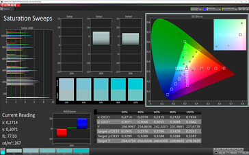 CalMAN color saturation (sRGB)