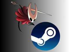 Шершень из игры Hollow Knight: Silksong над логотипом Steam (Источник изображения: Team Cherry, Steam, с правками)