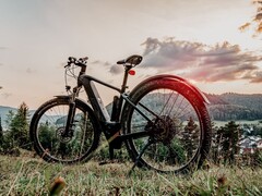 Компания Bafang представила два новых средних мотора. (Символическое изображение, источник: Юрген Полле)