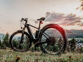 Компания Bafang представила два новых средних мотора. (Символическое изображение, источник: Юрген Полле)