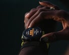 Бета-версия 24.04 доставляет некоторым владельцам Forerunner проблемы при попытке получить доступ к предложениям Garmin Coach. (Источник изображения: Garmin)