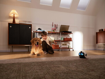 Компаньон для домашних животных 