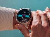 Разрешение Garmin для своего "треугольника смерти" не лишено недостатков. (Источник изображения: Garmin)