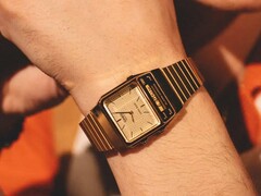 Винтажные часы Casio AQ800EG-9A (на фото) теперь доступны в США. (Источник изображения: Casio)