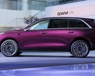 От 30 до 80 % всего за 9 минут: Wey V8X использует архитектуру 800 В и технологию быстрой зарядки 6C