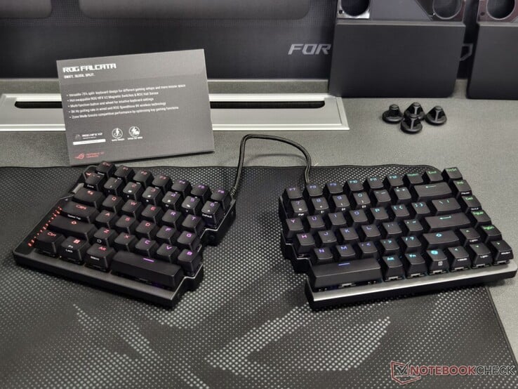 Разделение Asus ROG Falacta (источник изображения: Notebookcheck)