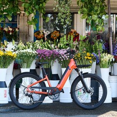 Электронный велосипед Momentum Vida E+ предлагает общий запас хода в 55 миль (88,5 км) на одной зарядке (Источник изображения: Momentum)