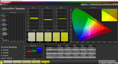 CalMAN - Color saturation