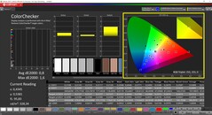 CalMAN ColorChecker (Display P3)