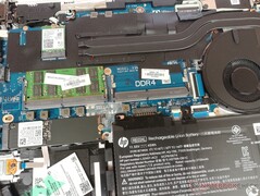 HP ProBook 445 G7 - Место для второго модуля оперативной памяти