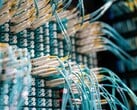 Синие оптоволоконные кабели с белыми разъёмами, подключенные к патч-панели в центре обработки данных