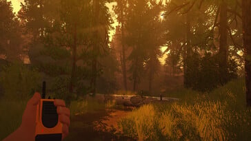 Изображение леса в Firewatch.