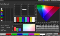 Цветовое пространство CalMAN sRGB
