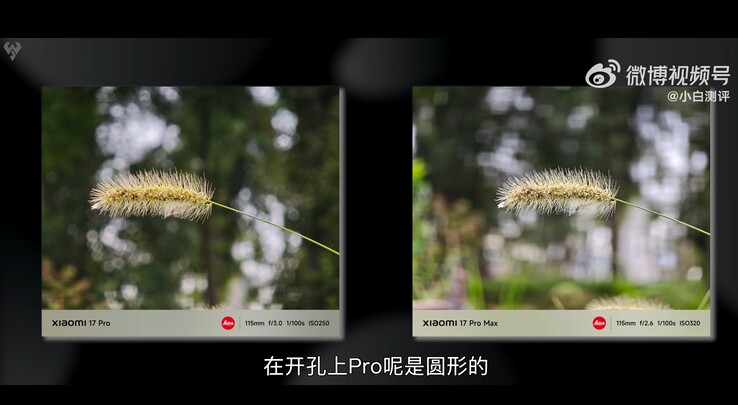 Xiaomi 17 Pro против Xiaomi 17 Pro Max: сравнение макроснимков, сделанных с помощью 5-кратного телефото