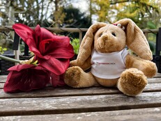 Снимок в исходном качестве