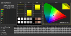 Calman Color Checker (после калибровки)