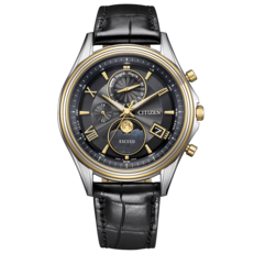 Вид спереди модели Citizen Exceed Mid-Autumn Moon BY1025-17E