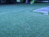 Хорошие результаты здесь 