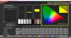 CalMAN ColorChecker (профиль: Native, целевое цветовое пространство: P3)