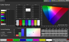 Цветовое пространство CalMAN sRGB