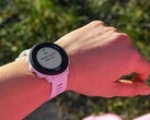 Часы Garmin Forerunner 55 (на фото) получают новое обновление. (Источник изображения: Garmin)