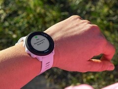 Часы Garmin Forerunner 55 (на фото) получают новое обновление. (Источник изображения: Garmin)
