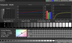 Градации серого (профиль: Профессиональный, целевое цветовое пространство: sRGB)