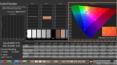 CalMAN: ColorChecker (калибровка)
