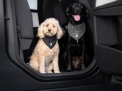 Бандана Tesla Dog Mode
