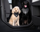 Бандана Tesla Dog Mode