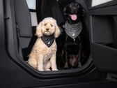 Бандана Tesla Dog Mode