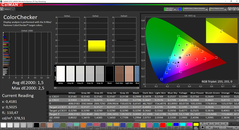 CalMAN - ColorChecker