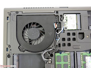 Процессор и видеокарта охлаждаются отдельным вентилятором.