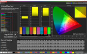 Тест CalMAN ColorChecker (режим дисплея "Яркий")