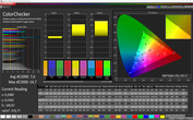 Тест CalMAN ColorChecker (цветовое пространство: sRGB); режим дисплея: яркий