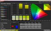 Тест CalMAN Saturation Sweeps (цветовое пространство: sRGB), режим дисплея "Яркий"