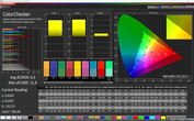 CalMAN ColorChecker (Естественные/Нормальная/sRGB)