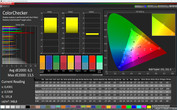 CalMAN ColorChecker (Сочные/Нормальная/sRGB)