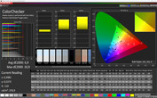 Тест CalMAN ColorChecker (цветовое пространство: sRGB); режим дисплея: стандартный