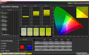 Тест CalMAN Saturation Sweeps (цветовое пространство: sRGB)