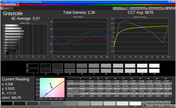 CalMan Grayscale "Dynamic"