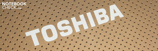 Toshiba NB520-108 brown: Двухъядерный нетбук с сабвуфером