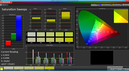 CalMAN Saturation Sweeps (RGB)