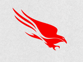 Платформа CrowdStrike Falcon (Источник изображения: CrowdStrike)