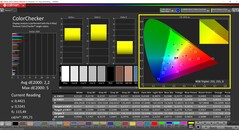 CalMAN ColorChecker (после калибровки)