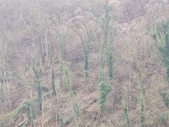 5-кратный зум