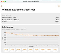 Стресс-тест 3DMark Wildlife Extreme